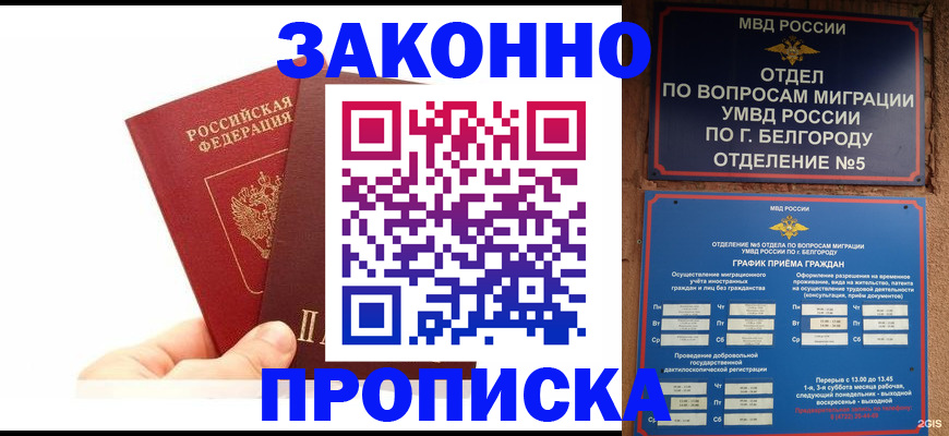 временная регистрация для школы в Кольчугино